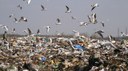 Европейската агенция по околна среда обявява нов конкурс за артистично изображение на отпадъци