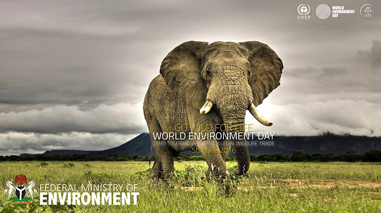 Изпълнителна агенция по околна среда отбелязва Световния ден на околната среда с поредица от събития