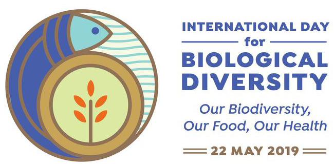 На 22 май отбелязваме Международния ден на биологичното разнообразие