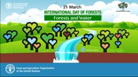 Отбелязваме Международния ден на гората