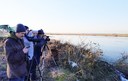 Приключи 48-мото среднозимно преброяване на зимуващите водолюбиви птици в България