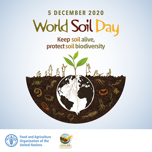 Световен ден на почвата - глобална церемония  на 4 декември 2020 | 14:00 - 15:30 ч. |
